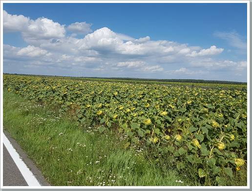 0030_20170804_142822 (Kopie).jpg